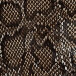 Brown python