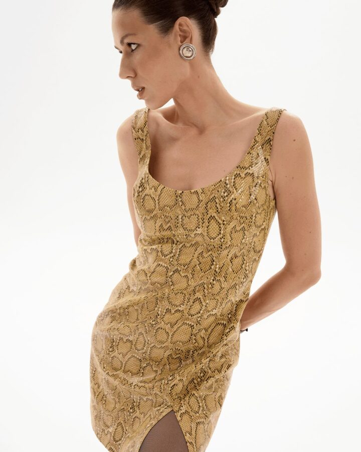Python Dress